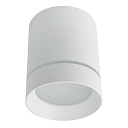 Накладной светильник Arte Lamp 1909  A1909PL-1WH "цилиндр" белый-Светильники даунлайт, точечные - купить по низкой цене в интернет-магазине, характеристики, отзывы | АВС-электро