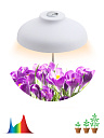 Светильник Fito (LED) 12Вт 15 мкмоль/с 380:780нм 4000К для комн. растений IP20 ЭРА-Светильники садово-парковые - купить по низкой цене в интернет-магазине, характеристики, отзывы | АВС-электро